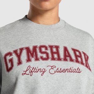 LIFTING ESSENTIAL OVERSIZED SWEATSHIRT – Image 2