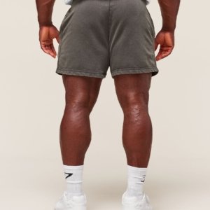 HERITAGE 5" SHORTS – Image 5
