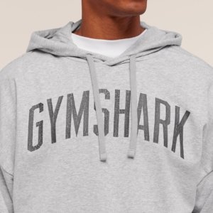 HOODIE WORN GREY – Image 4