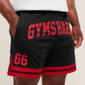 CAMPUS MESH SHORTS – Image 3