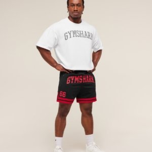 CAMPUS MESH SHORTS – Image 5