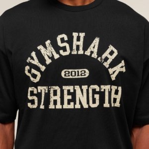 2012 STRENGTH T-SHIRT – Image 2