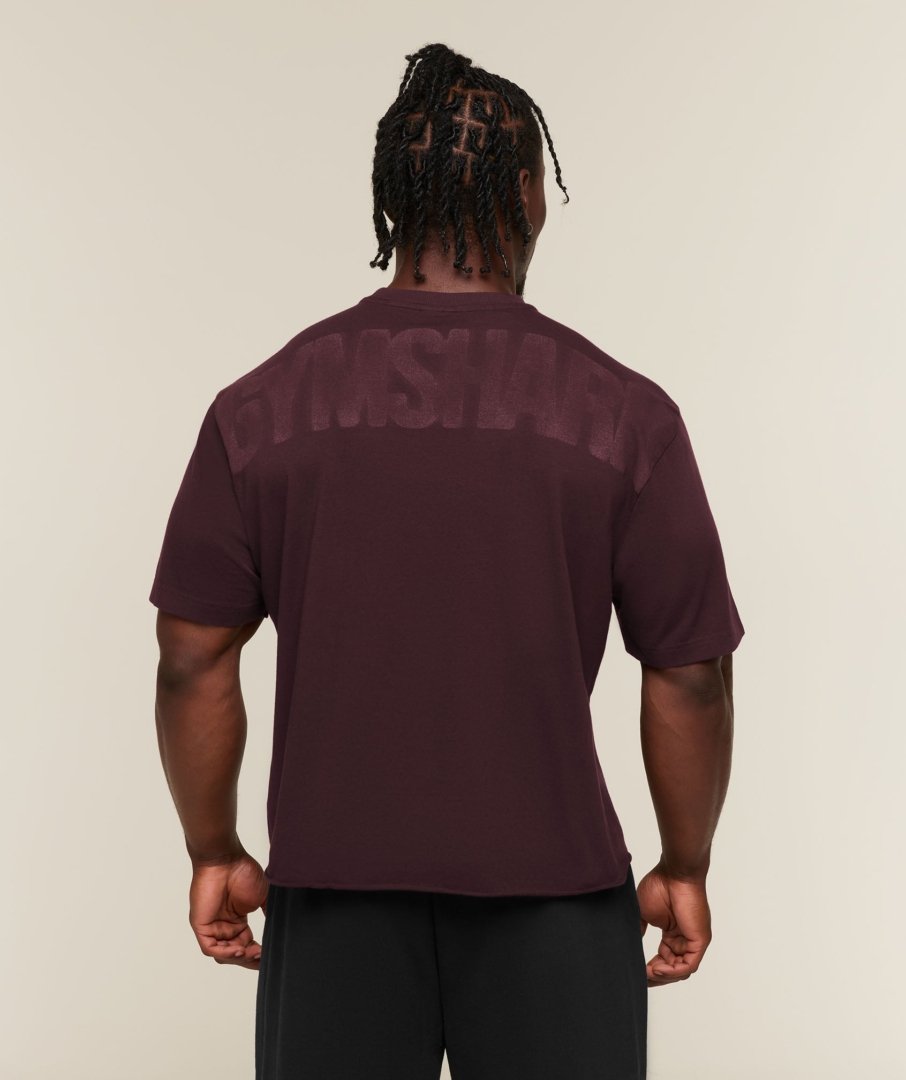 POWER WASHED OVERSIZED BOXY T-SHIRT CHERRY PURPLE WASHED